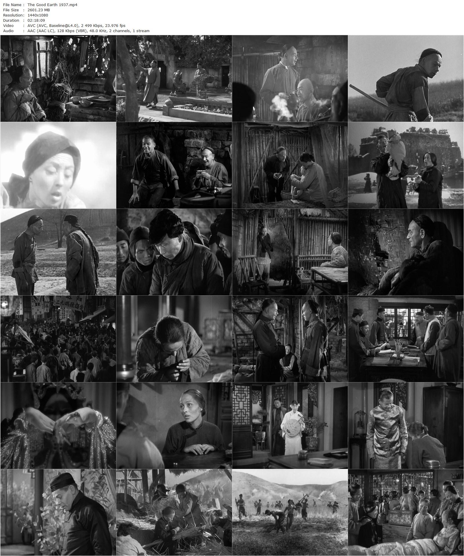 The Good Earth (1937) Sidney Franklin, Victor Fleming, Paul Muni, Luise Rainer, Walter Connolly-poster