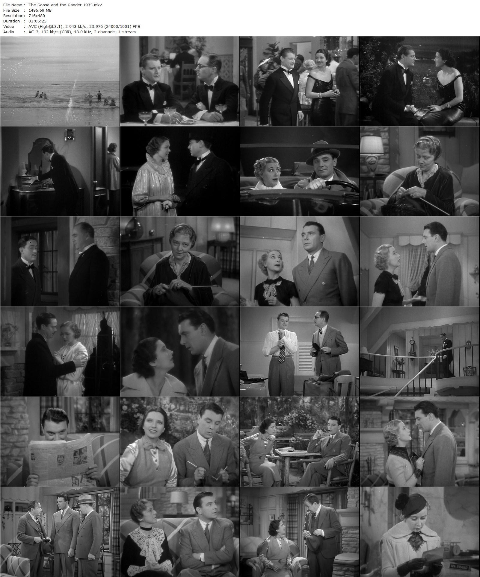 The Goose and the Gander (1935) Alfred E. Green, Kay Francis, George Brent, Genevieve Tobin-poster