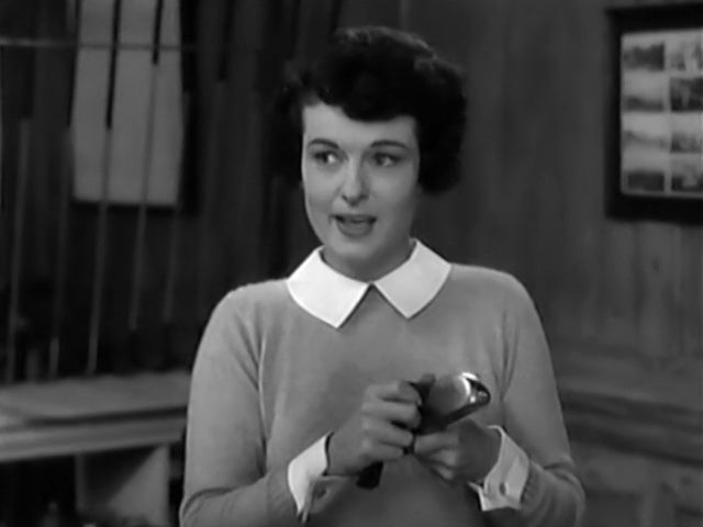 The Great Gatsby (1949) Elliott Nugent, Alan Ladd, Betty Field, Macdonald Carey, Drama-poster