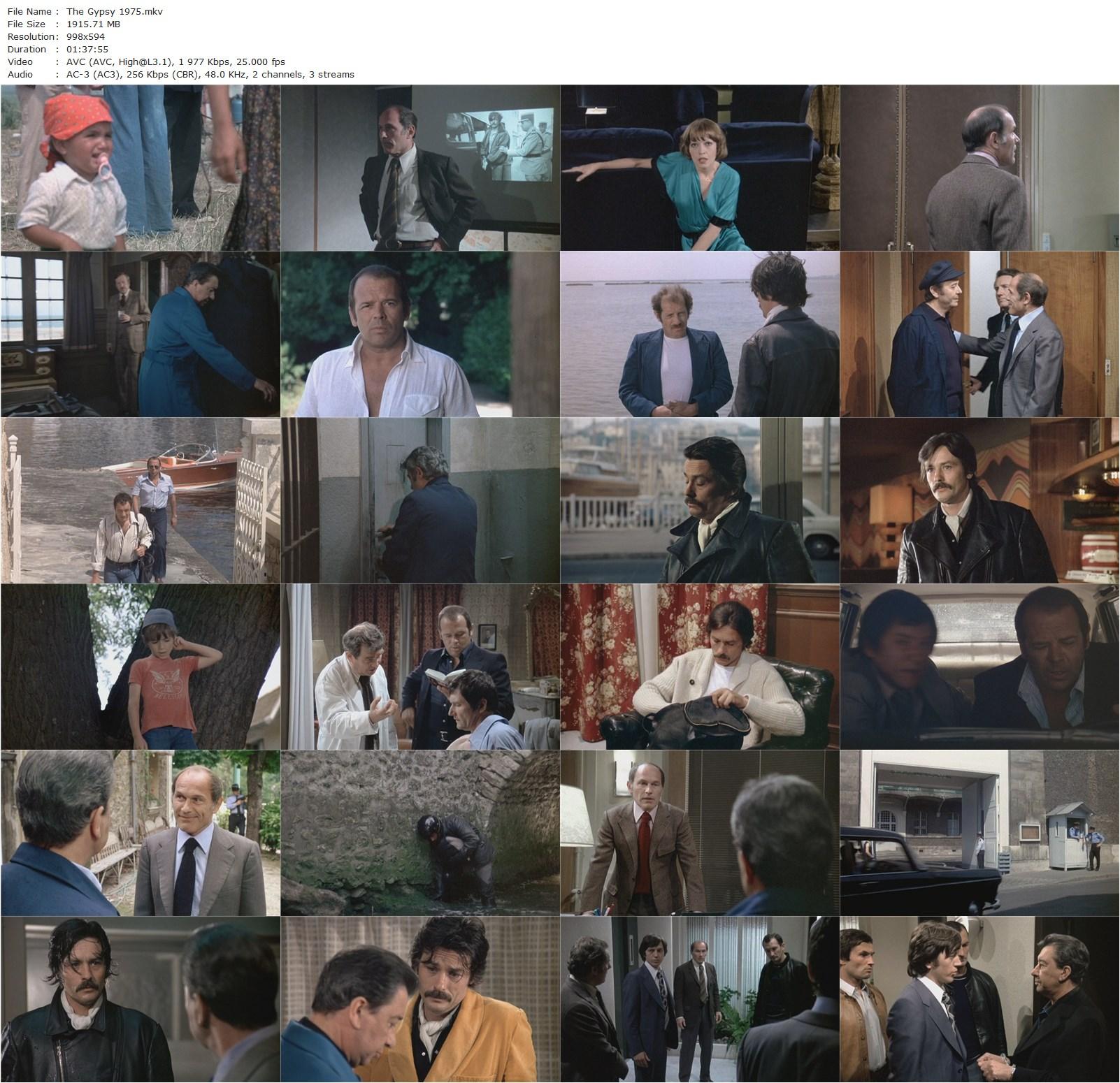 The Gypsy (1975) José Giovanni, Alain Delon, Paul Meurisse, Annie Girardot-poster