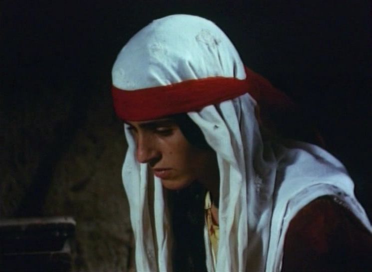 The Herd AKA Sürü (1979) Zeki Ökten, Tarik Akan, Melike Demirag, Erol Demiröz-poster