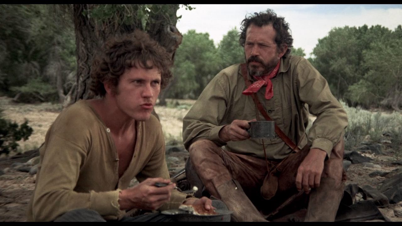 The Hired Hand (1971) Peter Fonda, Warren Oates, Verna Bloom, Drama, Western-poster