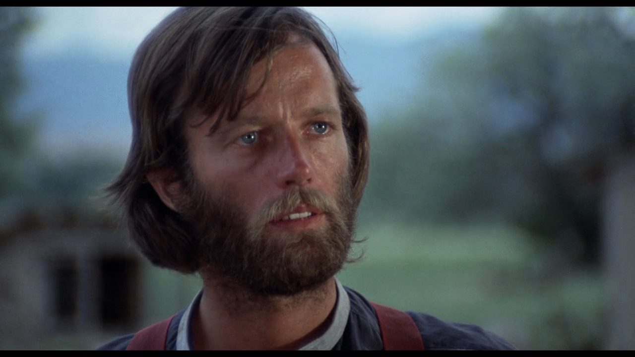 The Hired Hand (1971) Peter Fonda, Warren Oates, Verna Bloom, Drama, Western-poster