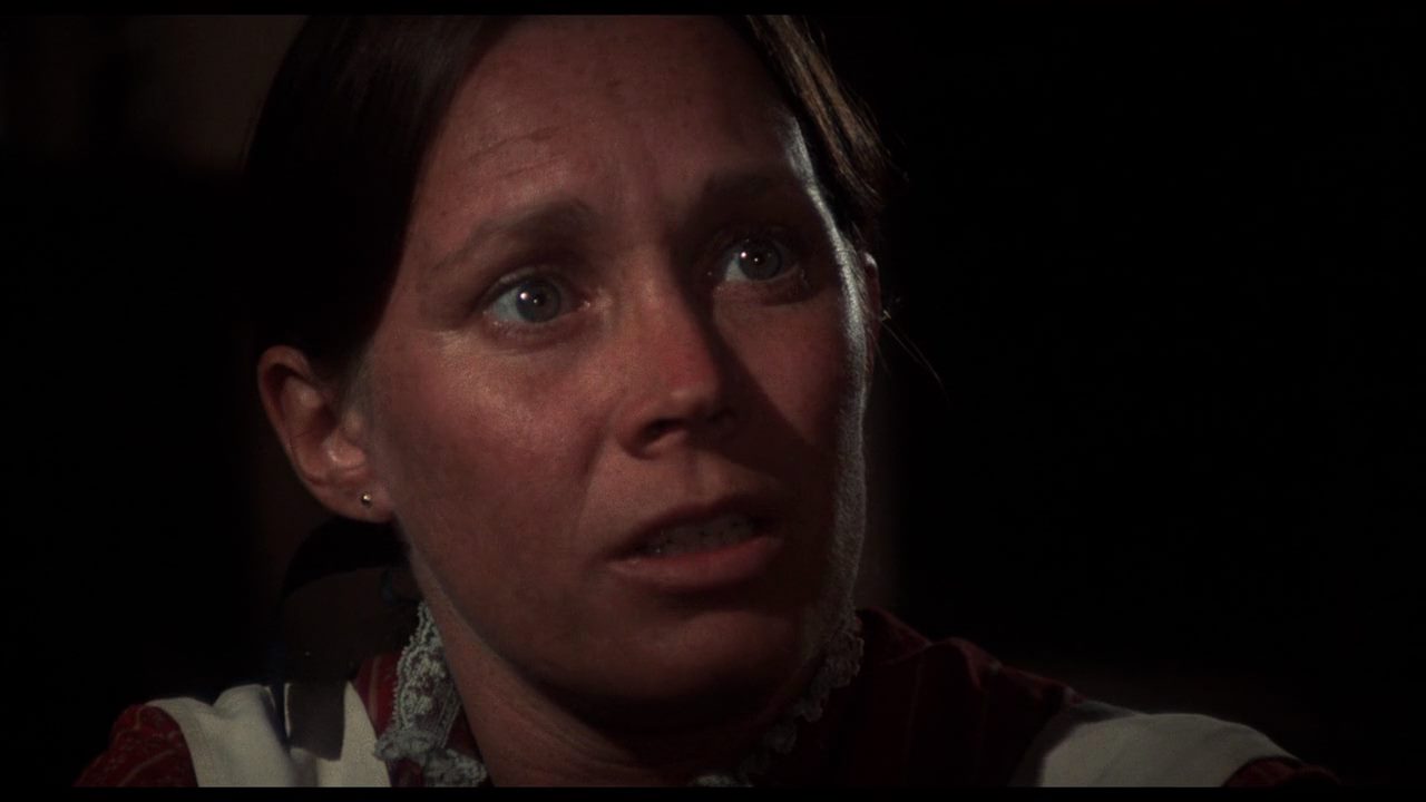 The Hired Hand (1971) Peter Fonda, Warren Oates, Verna Bloom, Drama, Western-poster