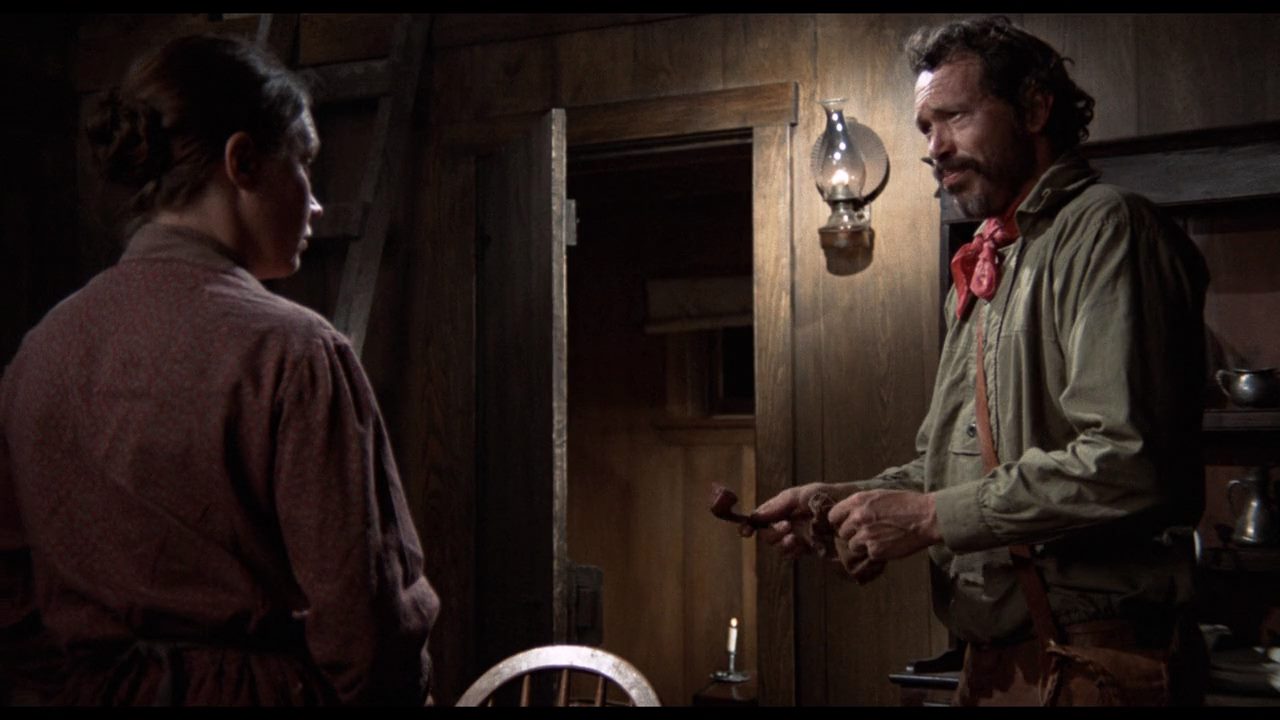 The Hired Hand (1971) Peter Fonda, Warren Oates, Verna Bloom, Drama, Western-poster