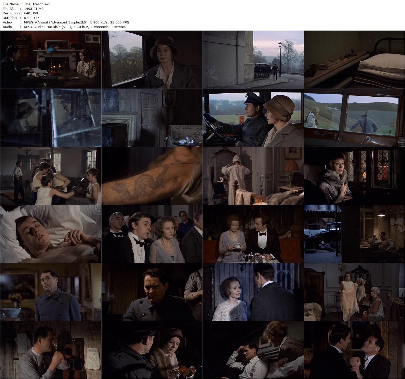 The Hireling (1973) Alan Bridges, Robert Shaw-poster