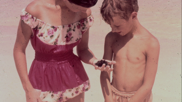 Miranda Pennell - The Host (2015)-poster