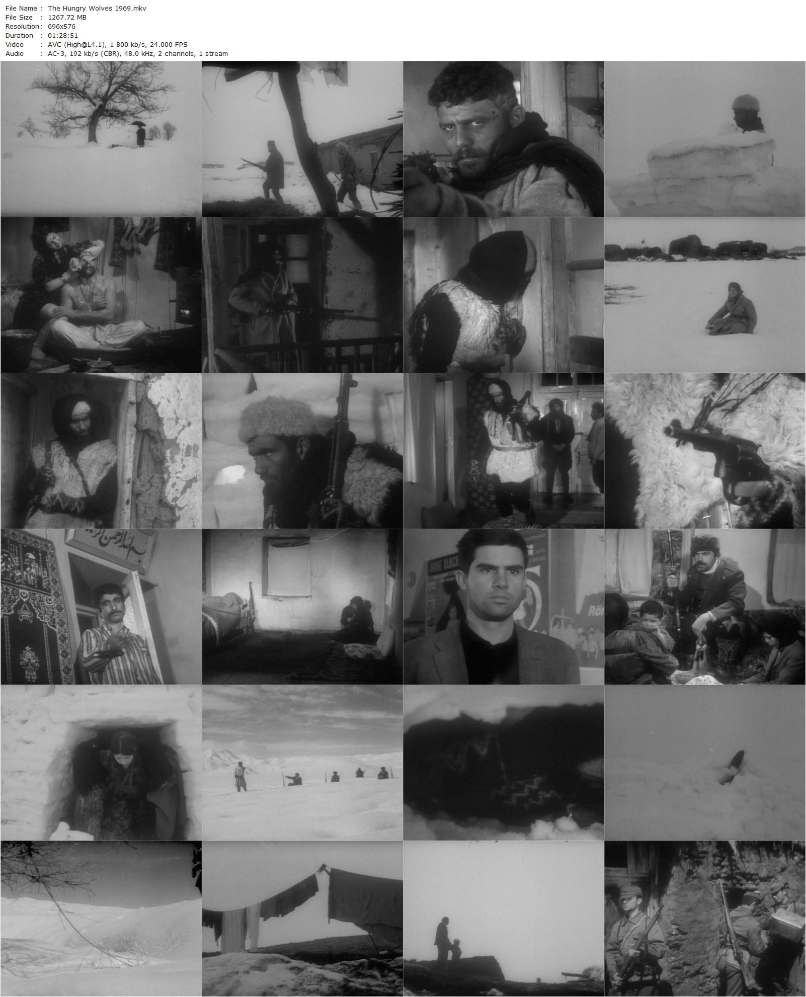 The Hungry Wolves AKA Aç kurtlar (1969) Yilmaz Güney, Sevgi Can, Hayati Hamzaoglu-poster