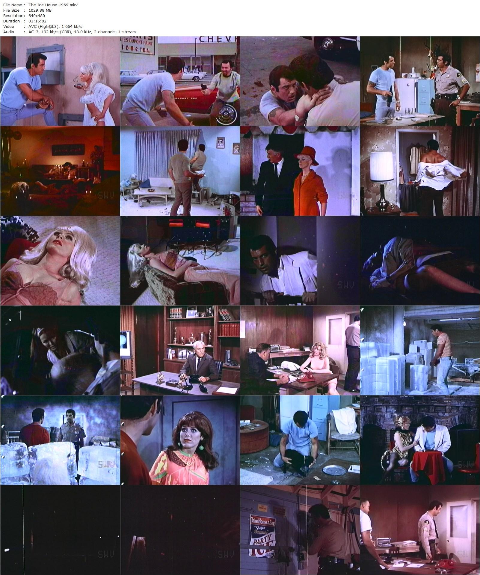 The Ice House AKA The Passion Pit (1969) Stuart E. McGowan, David Story, Robert Story, Jim Davis-poster