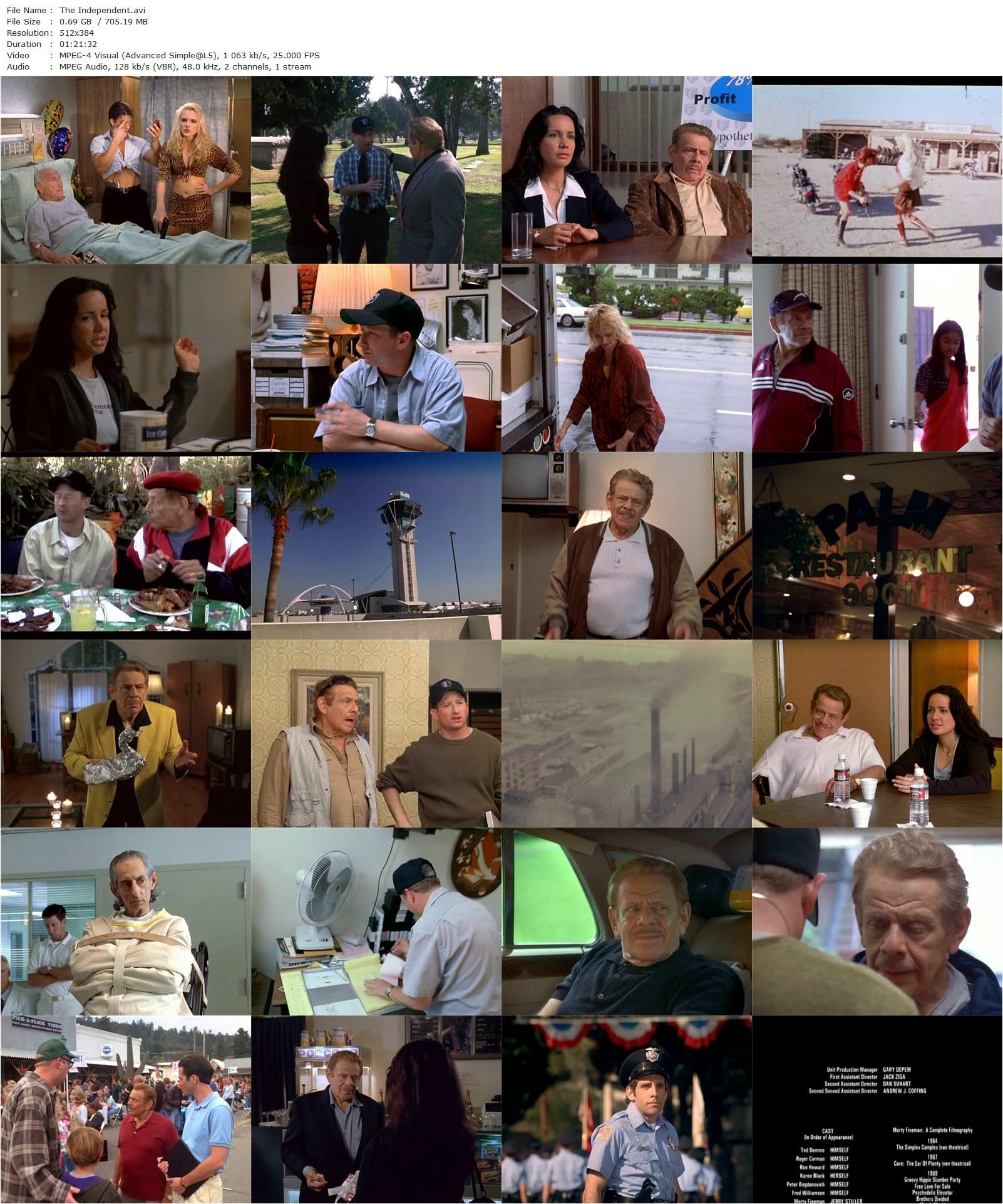 The Independent (2000) Stephen Kessler, Jerry Stiller, Janeane Garofalo, Max Perlich-poster