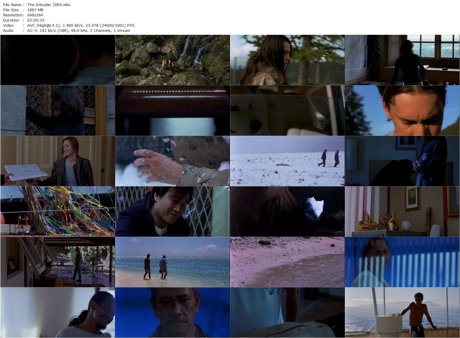 The Intruder AKA L’intrus (2004) Claire Denis, Michel Subor, Grégoire Colin, Yekaterina Golubeva-poster