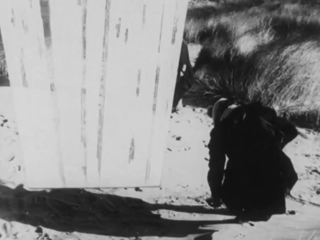 Peter Roberts - The Jellyfish (1974)-poster