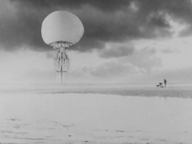 Peter Roberts - The Jellyfish (1974)-poster