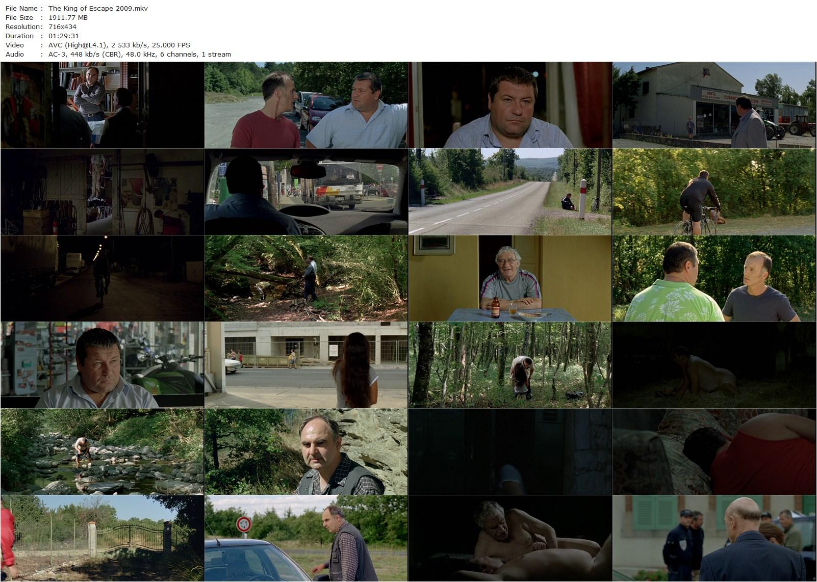 The King of Escape AKA Le roi de l’évasion (2009) Alain Guiraudie, Ludovic Berthillot, Hafsia Herzi, Pierre Laur-poster