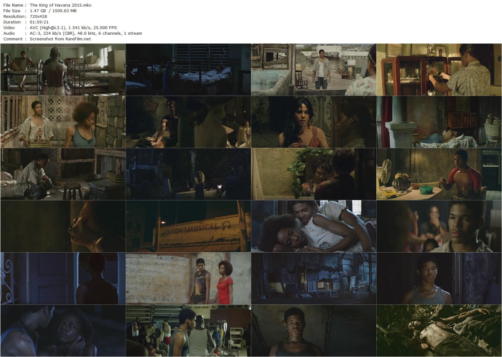 El rey de La Habana / The King of Havana (2015) Agustí Villaronga, Maikol David, Yordanka Ariosa, Héctor Medina-poster