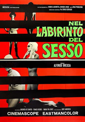 The Labyrinth of Sex AKA Nel labirinto del sesso (1969) Alfonso Brescia, Orchidea De Santis, Franco Ressel, Susy Andersen