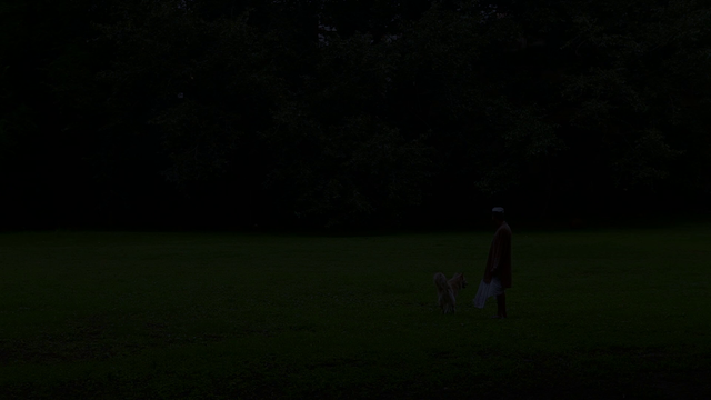 The Last Mango Before The Monsoon (2015)-poster