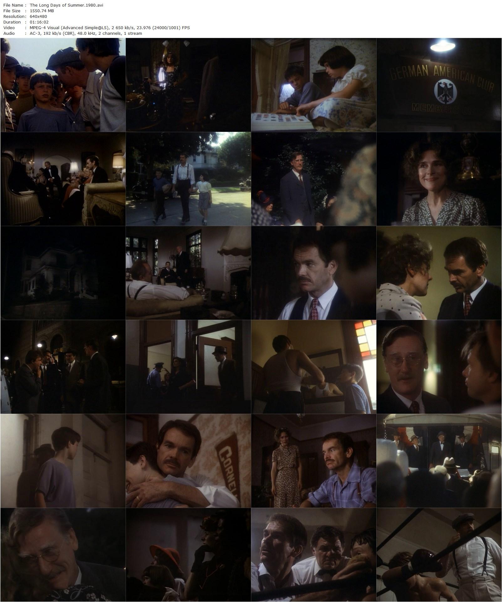 The Long Days of Summer (1980) Dan Curtis, Dean Jones, Joan Hackett, Ronnie Scribner-poster