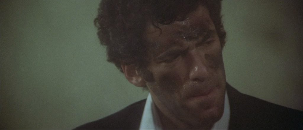 The Long Goodbye (1973) Robert Altman, Elliott Gould, Nina van Pallandt, Sterling Hayden, Comedy, Crime, Drama, Mystery, Thriller-poster