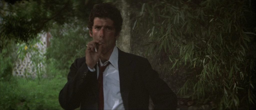 The Long Goodbye (1973) Robert Altman, Elliott Gould, Nina van Pallandt, Sterling Hayden, Comedy, Crime, Drama, Mystery, Thriller-poster