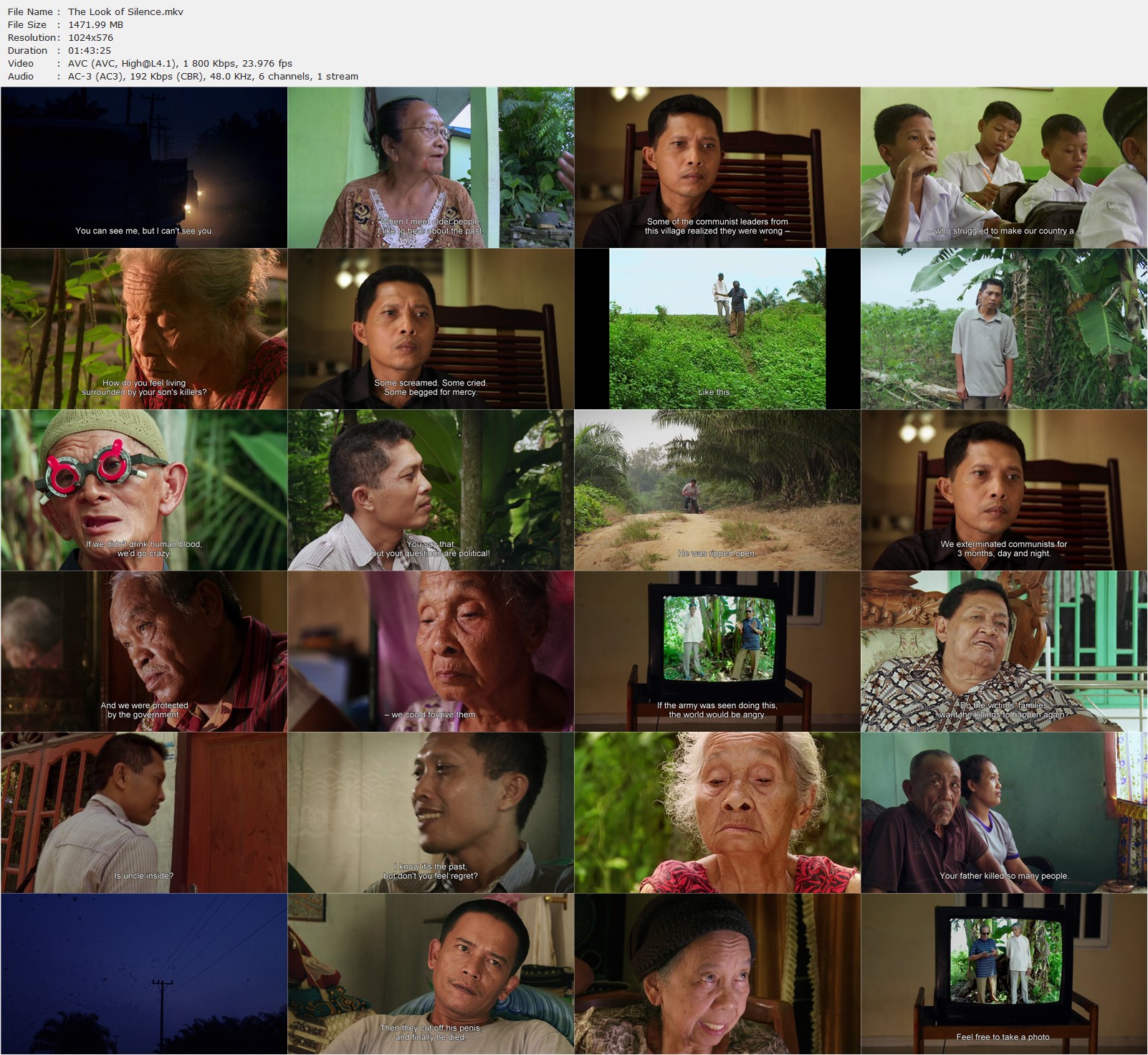 The Look of Silence (2014) Joshua Oppenheimer, Adi Rukun, M.Y. Basrun, Amir Hasan, Documentary, Biography, History-poster