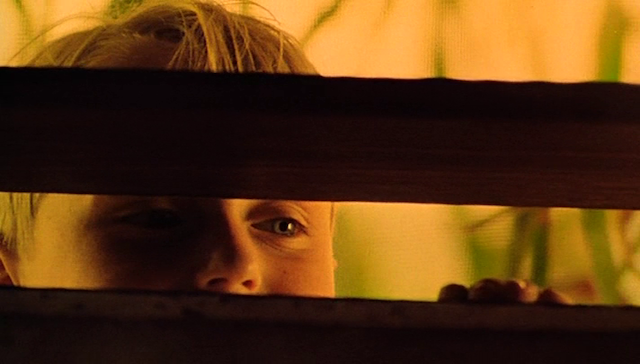 The Loss of Sexual Innocence (1999)-poster