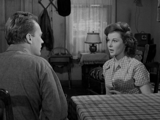 The Lusty Men (1952) Nicholas Ray, Robert Parrish, Susan Hayward, Robert Mitchum, Arthur Kennedy, Action, Drama, Sport, Western-poster