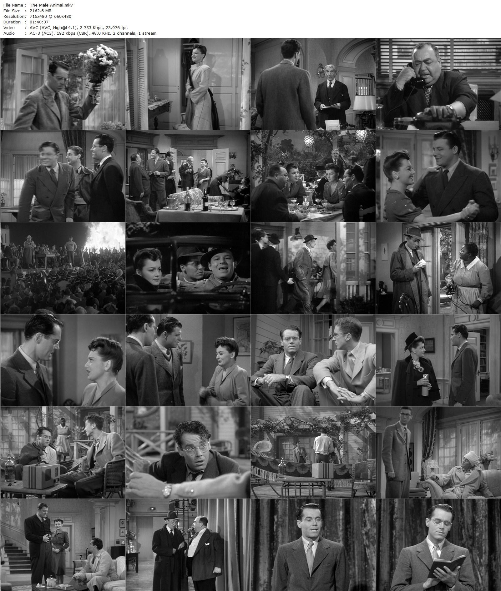 The Male Animal (1942) Elliott Nugent, Henry Fonda, Olivia de Havilland, Joan Leslie-poster