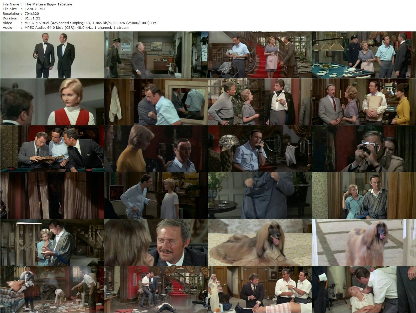 The Maltese Bippy (1969) Norman Panama, Dan Rowan, Dick Martin, Carol Lynley-poster