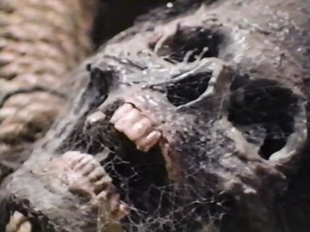 The Meateater (1979) David Burton Morris, Arch Joboulian, Dianne Davis, Peter Spitzer, Horror-poster