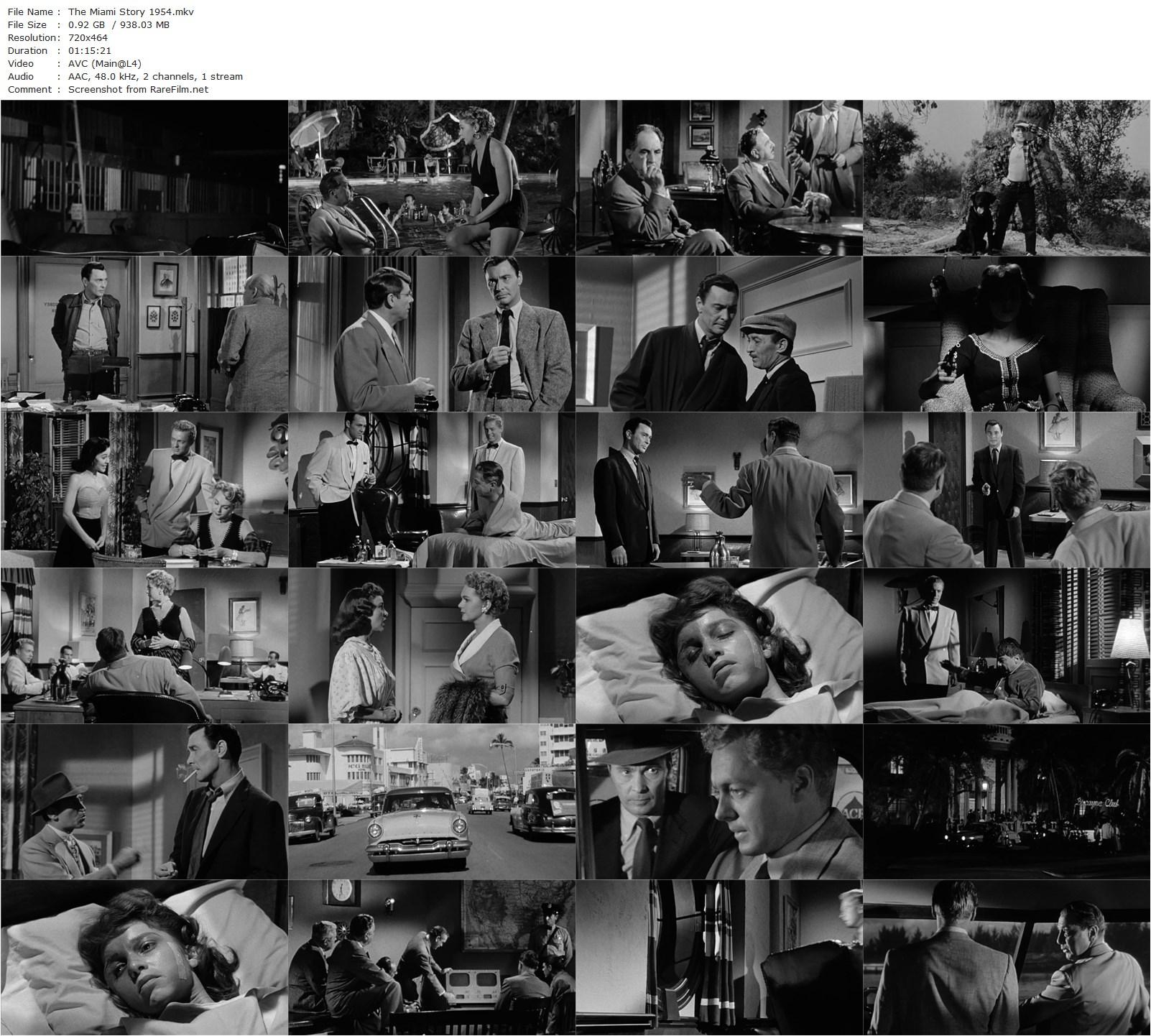 The Miami Story (1954) Fred F. Sears, Barry Sullivan, Luther Adler, John Baer-poster