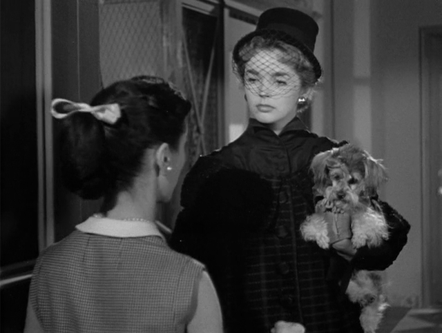 The Moon Is Blue (1953)-poster