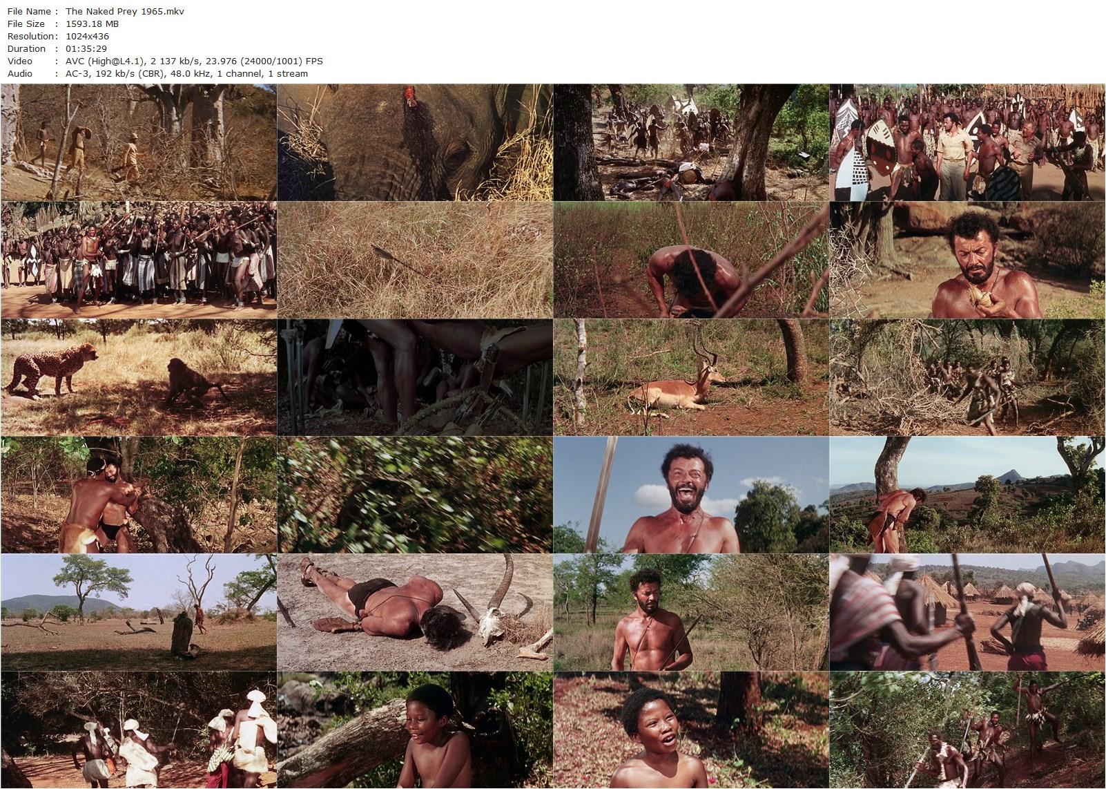 The Naked Prey (1965) Cornel Wilde, Gert van den Bergh, Ken Gampu-poster