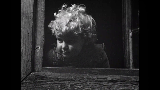 The Natural History of Destruction (2022)-poster