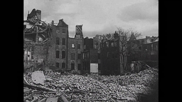 The Natural History of Destruction (2022)-poster