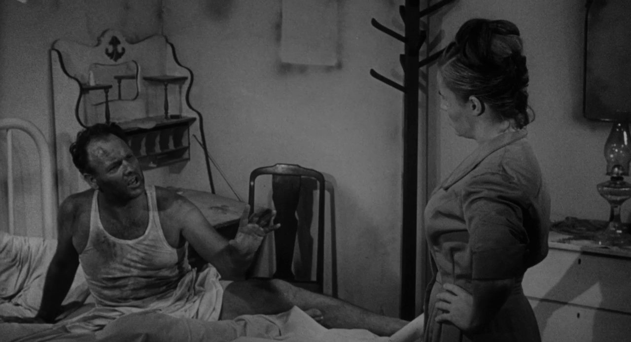 The Nest of the Cuckoo Birds (1965) Bert Williams, Ann Long, Chuck Frankle, Drama, Horror-poster