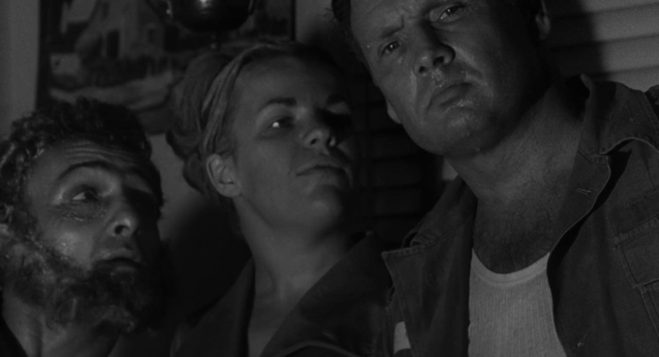 The Nest of the Cuckoo Birds (1965) Bert Williams, Ann Long, Chuck Frankle, Drama, Horror-poster