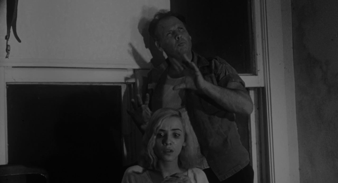 The Nest of the Cuckoo Birds (1965) Bert Williams, Ann Long, Chuck Frankle, Drama, Horror-poster