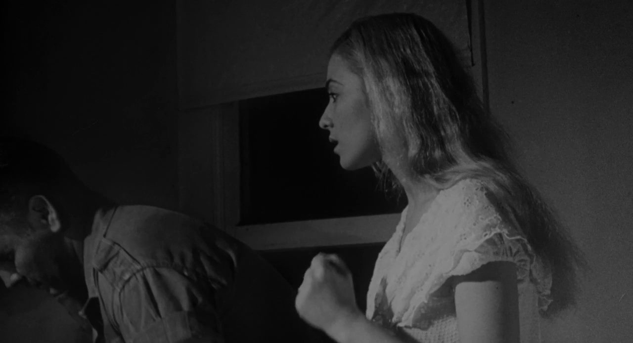 The Nest of the Cuckoo Birds (1965) Bert Williams, Ann Long, Chuck Frankle, Drama, Horror-poster