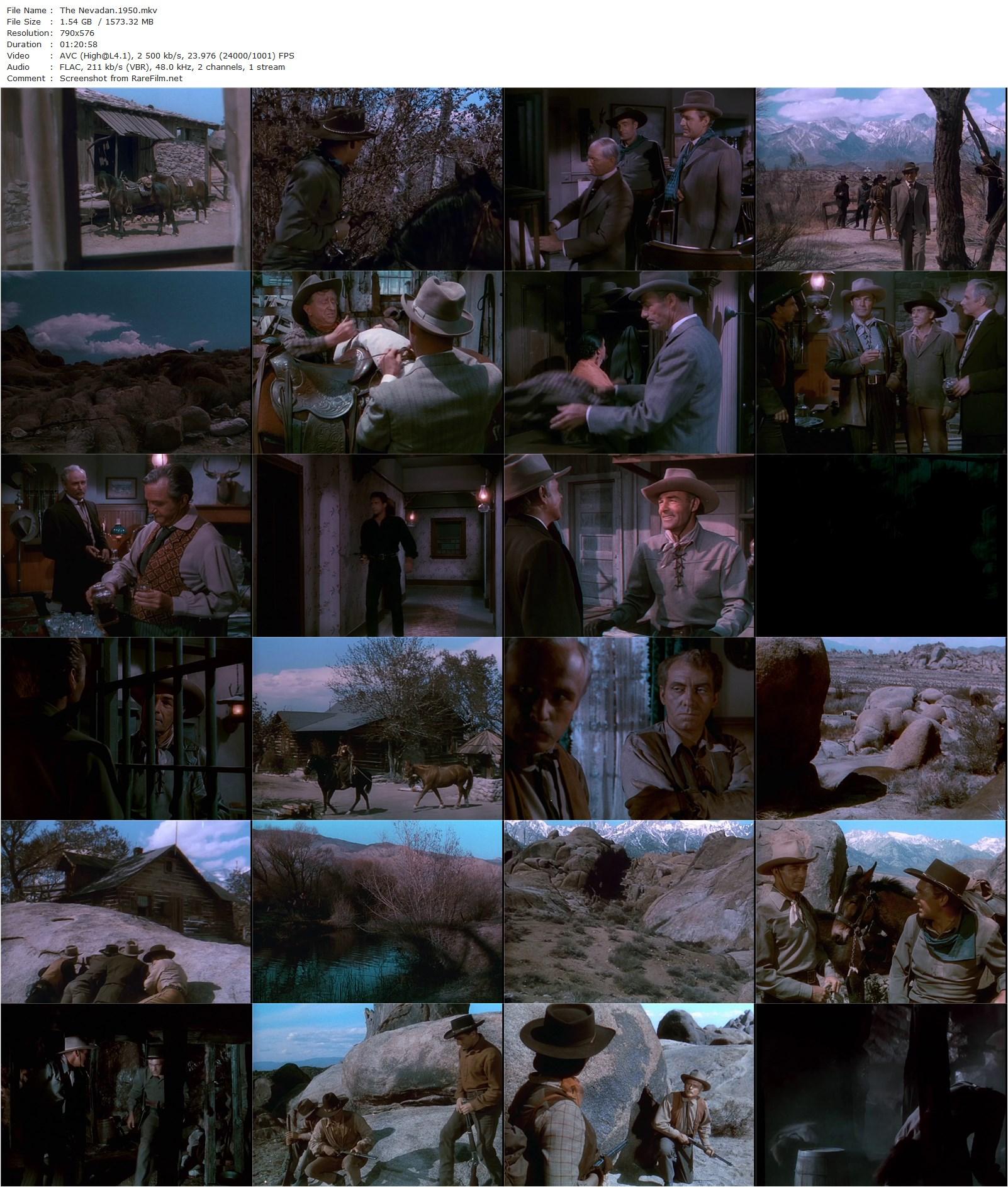 The Nevadan (1950) Gordon Douglas, Randolph Scott, Dorothy Malone, Forrest Tucker-poster