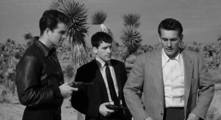 The Night Holds Terror (1955) Andrew L. Stone, Jack Kelly, Hildy Parks, Vince Edwards, Crime, Drama, Film-Noir, Thriller-poster