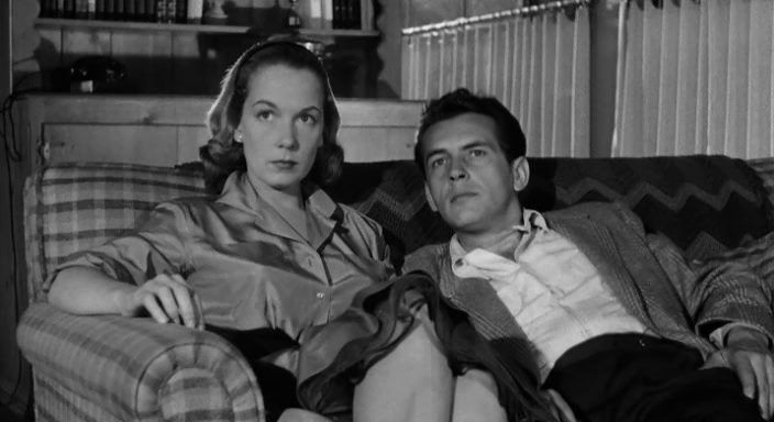 The Night Holds Terror (1955) Andrew L. Stone, Jack Kelly, Hildy Parks, Vince Edwards, Crime, Drama, Film-Noir, Thriller-poster