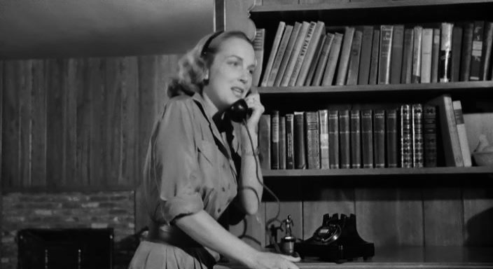 The Night Holds Terror (1955) Andrew L. Stone, Jack Kelly, Hildy Parks, Vince Edwards, Crime, Drama, Film-Noir, Thriller-poster