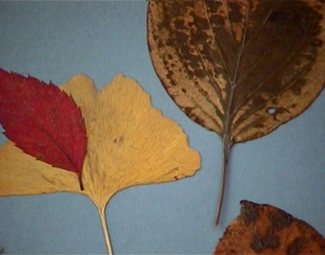 Jean-Luc Godard & Anne-Marie Miéville - The Old Place : Small Notes Regarding the Arts at Fall of 20th century (1998)-poster