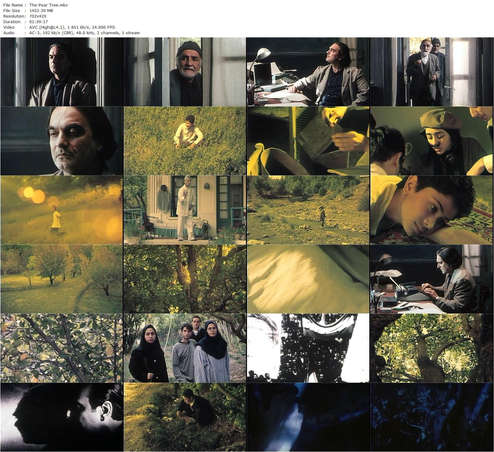 The Pear Tree AKA Derakhte Golabi (1998) Dariush Mehrjui, Homayoun Ershadi, Golshifteh Farahani, Mohammad Reza Shaban-Noori-poster
