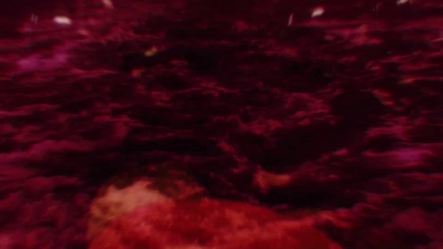 The Pearl of Tailorbird (2018)-poster