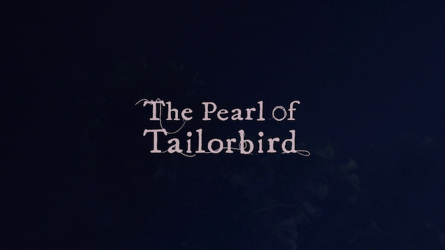 The Pearl of Tailorbird (2018)