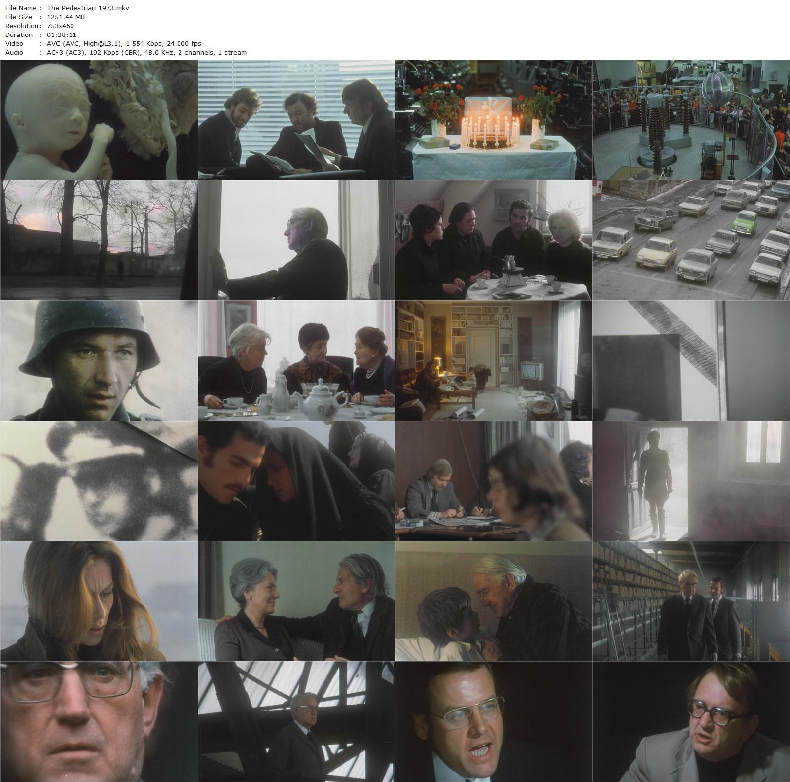 The Pedestrian (1973) Maximilian Schell, Gustav Rudolf Sellner, Peter Hall-poster