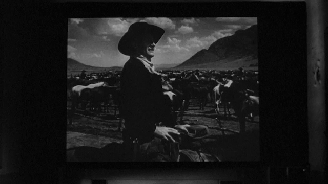 The Power of Film (2024) by Laura Gabbert-poster