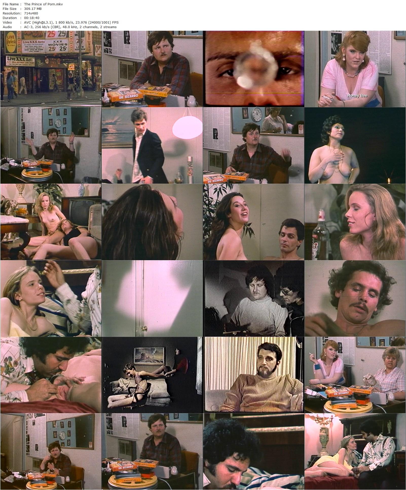 The Prince of Porn (2002) Brian O’Hara, Phil Prince, Stella Stevens, Bumble Bee-poster